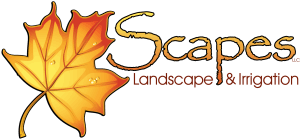 Scapes, LLC